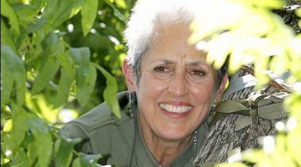 joan baez a ajuns la spital dupa ce a cazut de la 6 metri inaltime