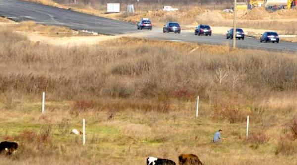 40 de milioane de euro aruncati pe avocati