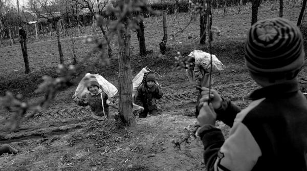 razvan glodenii gandului