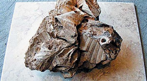 tabachera preistorica