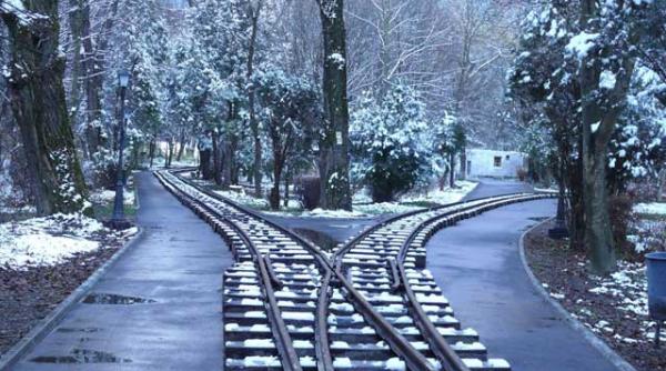 sunt ambasadorii de la bucuresti niste primitivi