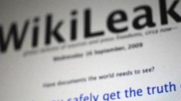 scandalul wikileaks ambasadorul sua la bucuresti da o declaratie linistitoare