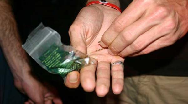 polonia a inchis 1 200 de magazine de vise intr o singura noapte