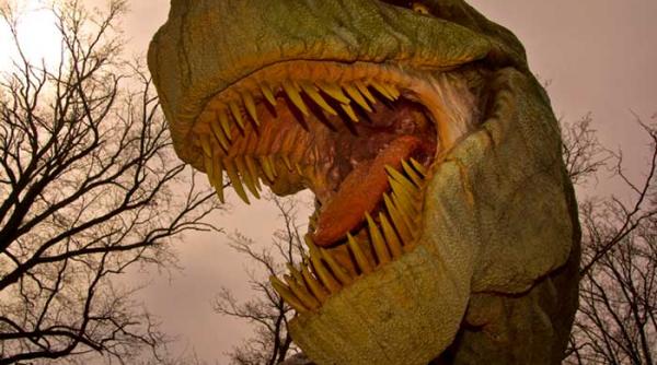 dinozaurii au evoluat din soparle