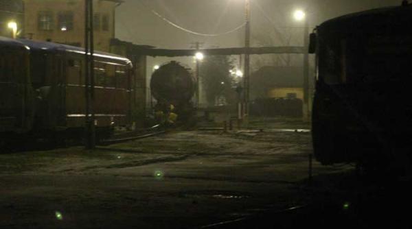 mascatii de la satu mare pedepsiti in cazul margarit