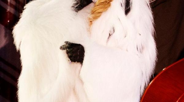 kylie minogue vrea sa apeleze la fertilizarea in vitro pentru a avea un copil