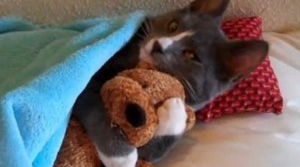 mi e frica mi e frica sa dorm singurica