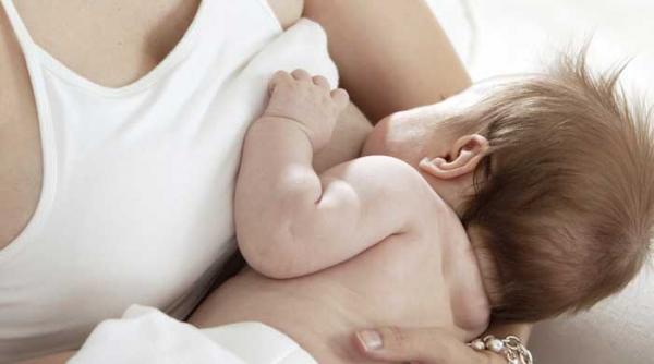 laptele matern nu se poate copia