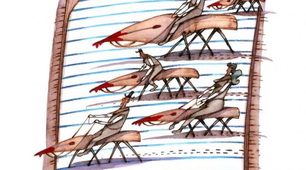 vremea mustelor hoitare