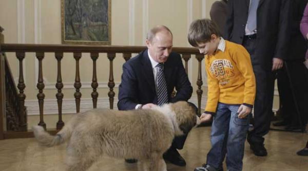 buffy catelul lui putin