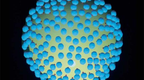 viclenia virusului b