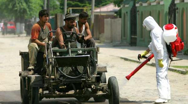 milionarul aviarei la arest