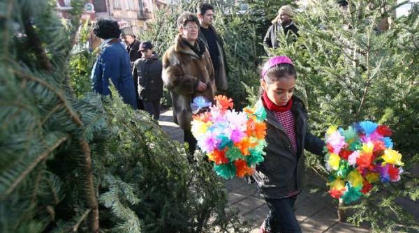 brazi ieftini de mos craciun