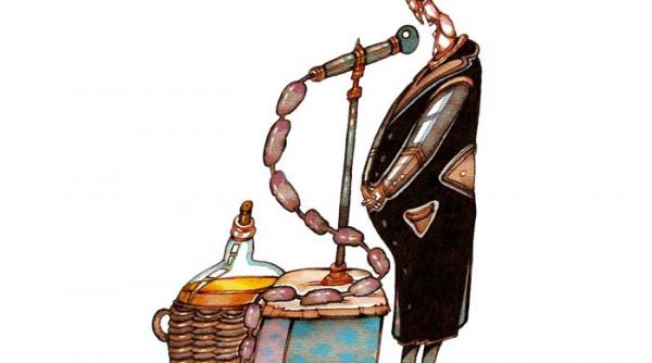 romania nu si poate permite mai mult