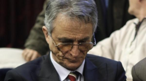 gatu suedia nu stie ce o asteapta cu noi