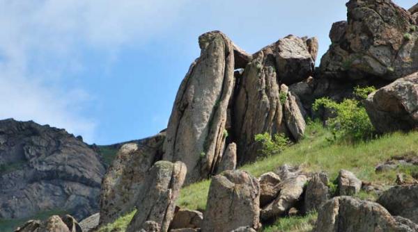 niste meduze deloc inofensive