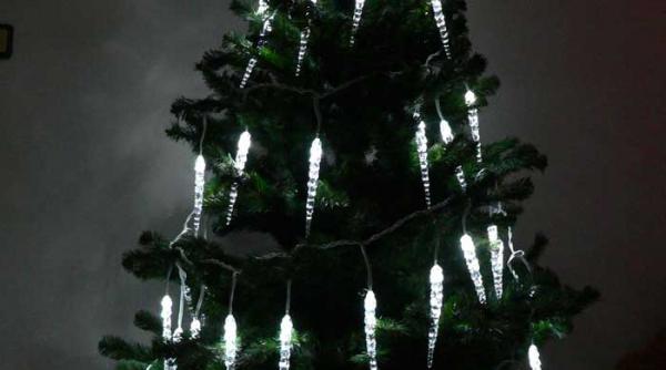 decoratiuni de craciun tendintele anului 2010