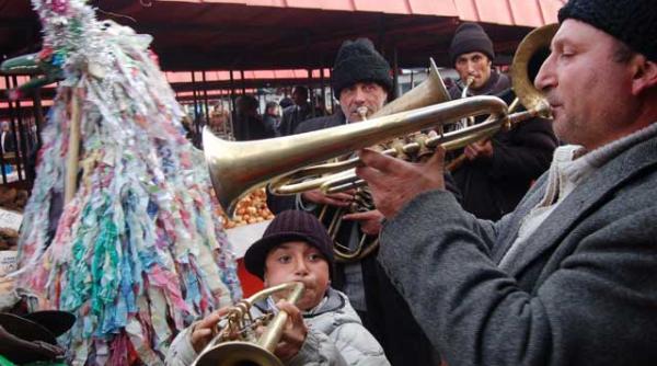 capra se joaca pe morcovi si castraveti murati