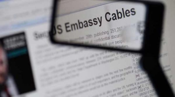 wikileaks si caracatita sa mediatica