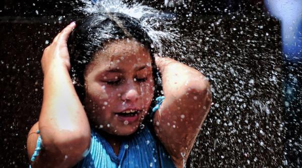 cod rosu de canicula in buenos aires