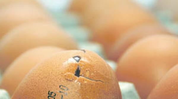 oua germane cu dioxina