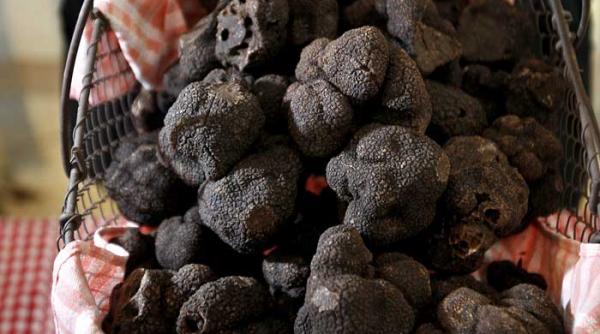 diamantele neslefuite din bucatarie