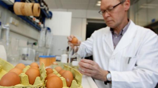 ouale germane contaminate cu dioxina au un traseu confuz