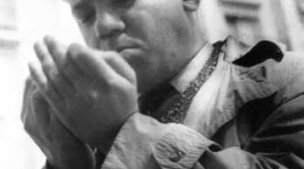 frumosii nebuni este cantecul tineretii mele