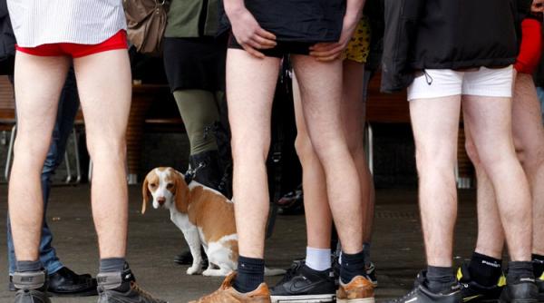 plimbari prin new york fara pantaloni