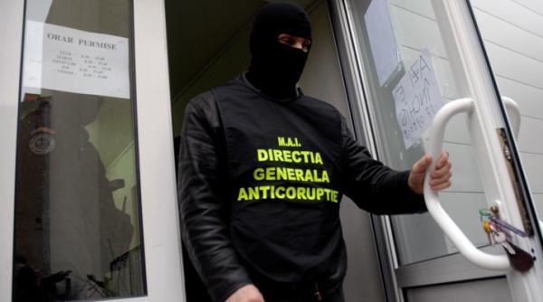 afaceri cu permise auto