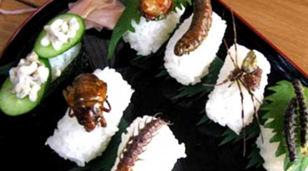 sfatul oamenilor de stiinta mancati insecte in loc de carne