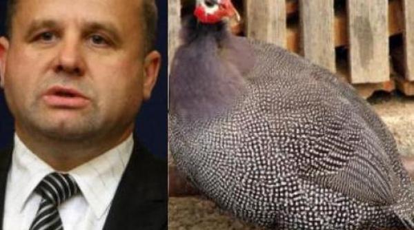 lista lui botis cu rate si bibilici motiv de bascalie in guvern