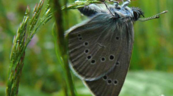 avatar kaczynski si dilema noastra