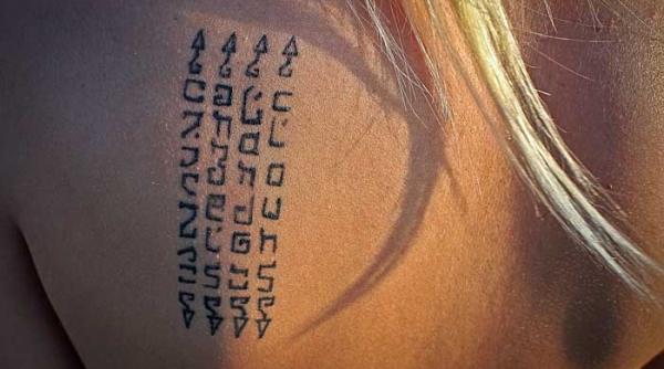 fabricile de absolventi