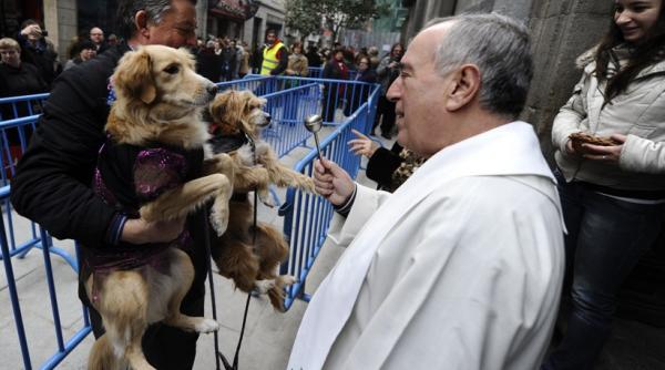 la botez cu purcel si catel