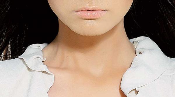 jurnal de stil cu albertina