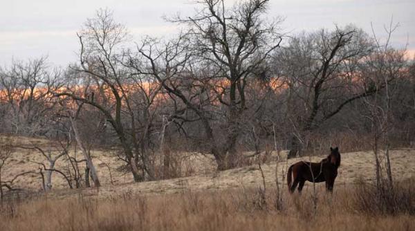 inceput de an in periprava