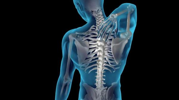 radiografia invizibila a coloanei vertebrale