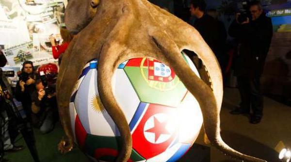 statuie pentru caracatita paul