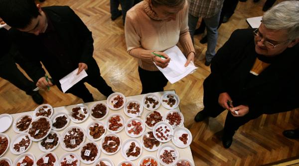 worschtkoschtprob concursul carnatilor la svabii banateni