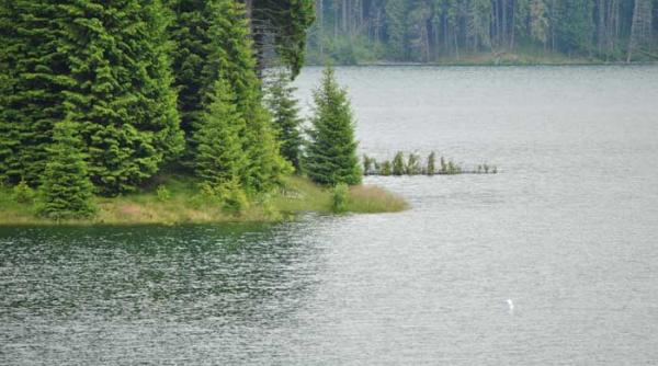 din eternitate spre viitor