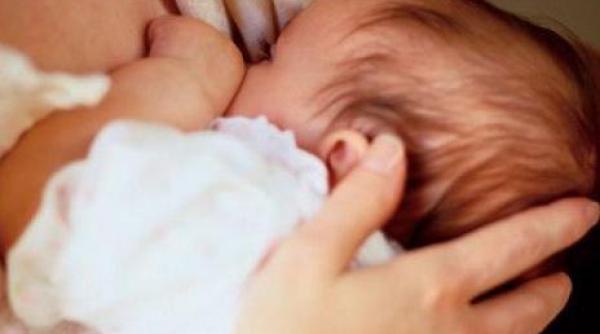 lapte matern de vanzare pe internet