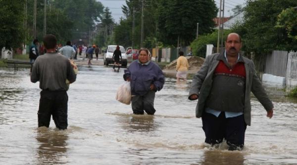 arestarea lui nicolescu si potopul care nu a existat