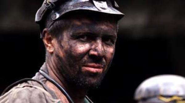 trei mine vor fi inchise mii de ortaci ajung someri