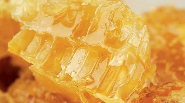 food world targul mierii campina 2011