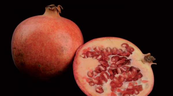 rodia sau fructul lui iisus