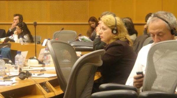 o mama din iasi la parlamentul european