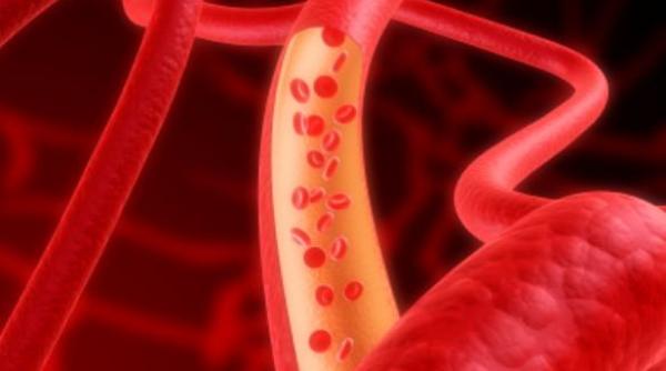 vase de sange umane crescute in laborator