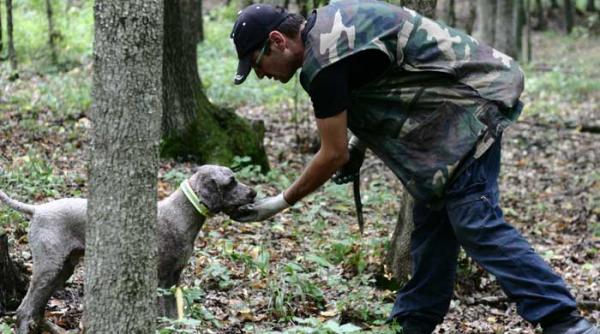 cautatori de comori prin padurile buzoiene