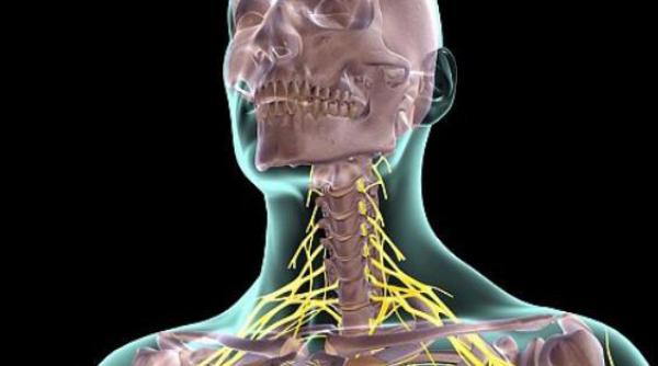 revolutie in medicina nervi fluorescenti pentru operatii mai sigure